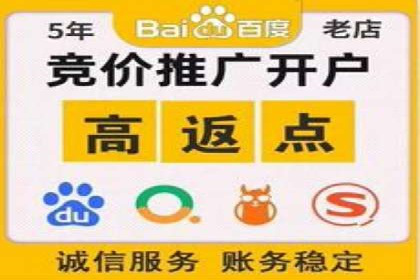 竞价推广的创意广告文案：从构思到执行的完整案例